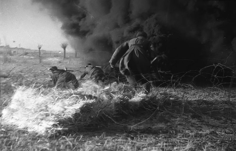 Саперы взвода инженерно-минной роты под прикрытием дымовой завесы проделывают проход для пехоты в проволочном заграждении немцев на границе Восточной Пруссии. Декабрь 1944 г. 