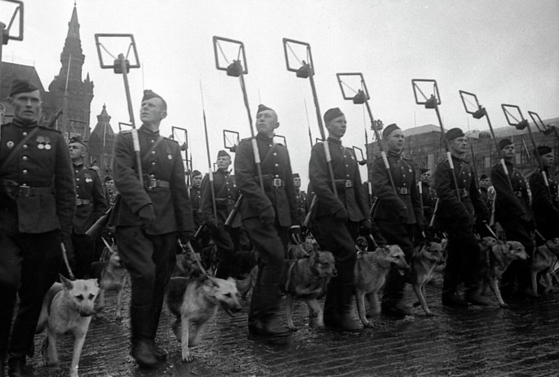 Саперы с собаками проходят по Красной площади во время Парада Победы. 24 июня 1945 г.