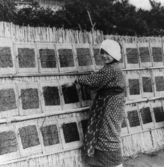 Морские водоросли для питания японцев сохнут на решетке. 1945 г. 