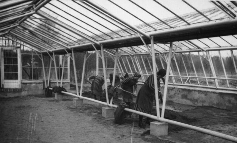 Молочная ферма концлагеря Равенсбрюк. 1940 г.