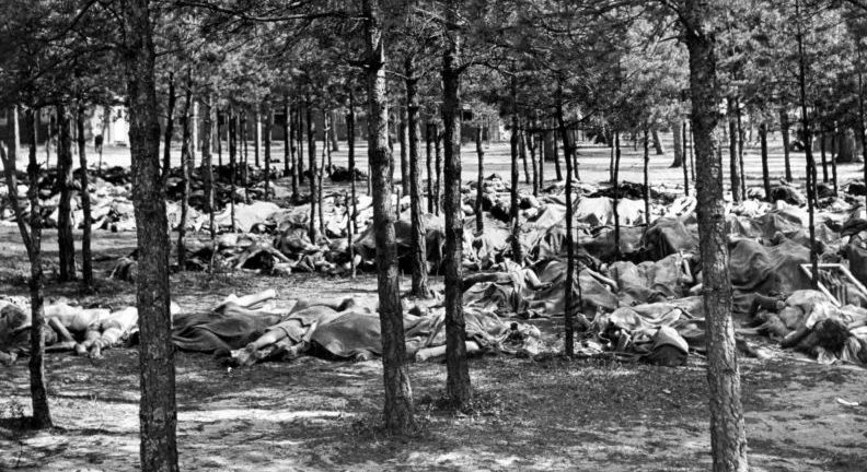 Тела узников Берген-Бельзена в лесу на окраине лагеря. Апрель 1945 г. 