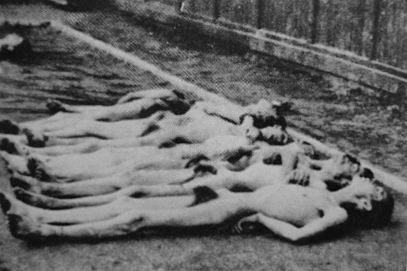 Тела советских военнопленных, убитых в концлагере Заксенхаузен. Сентябрь 1941 г. 