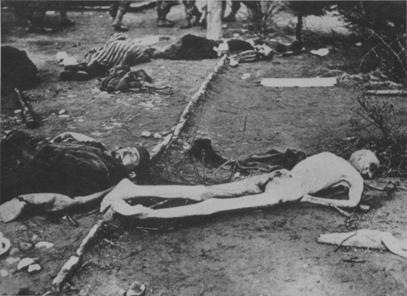 Тела узников концлагеря Ордруф, расстрелянных охраной перед освобождением лагеря. Апрель 1945 г. 