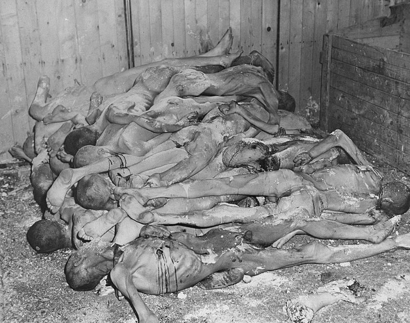 Тела заключенных в концлагере Ордруф. Апрель 1945 г.