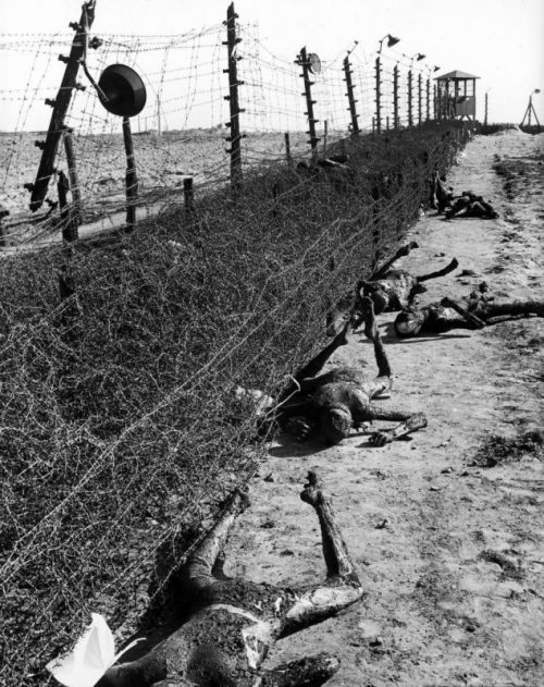 Обгоревшие тела узников концлагеря Лейпциг-Текла. Апрель 1945 г.