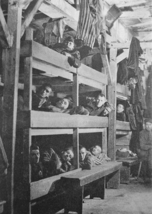 Освобожденные узники концлагеря Бухенвальд на нарах в бараке. Апрель 1945 г.