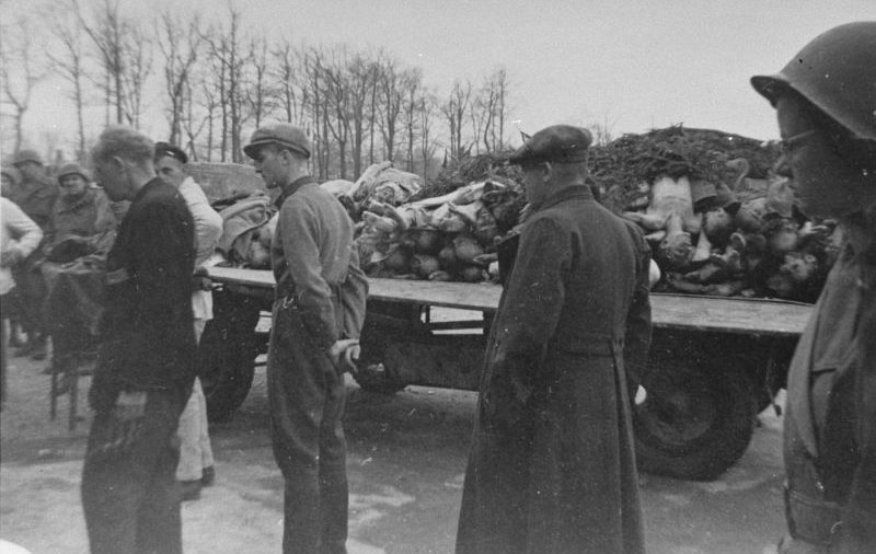 Немецкие мирные жители на принудительной экскурсии в концлагере Бухенвальд, проводимой американцами. Апрель 1945 г. 