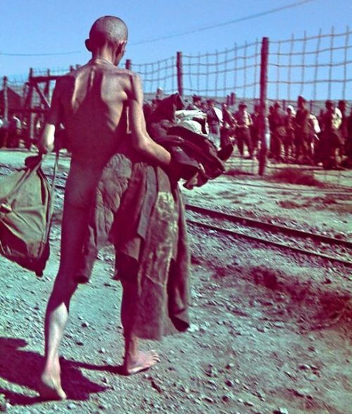 Советские военнопленные проходят дезинфекцию в концлагере Цайтхайн. 1942 г.