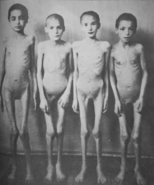Истощенные дети-узники концлагеря Освенцим, на которых проводили опыты немецкие врачи. 1943 г.