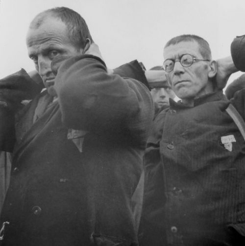 Арестованные надзиратели концлагеря Дахау, пытавшиеся скрыться под видом узников. Апрель 1945 г.