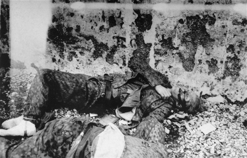 Эсэсовцы, расстрелянные американцами после освобождения концлагеря Дахау. Апрель 1945 г. 