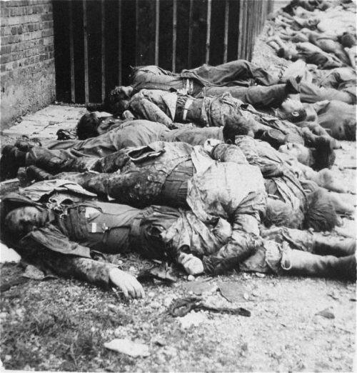 Эсэсовцы, расстрелянные американцами после освобождения концлагеря Дахау. Апрель 1945 г.