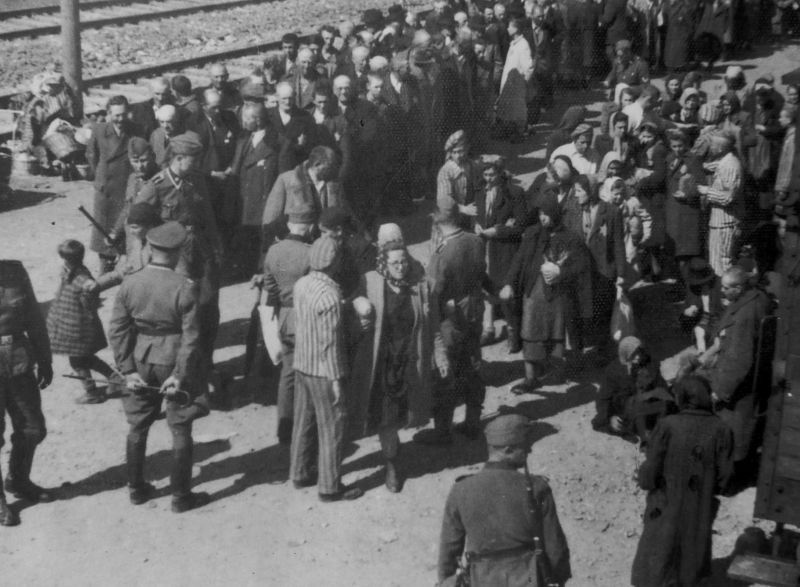 Евреи, привезенные из Венгрии в концлагерь Освенцим. Май 1944 г. 