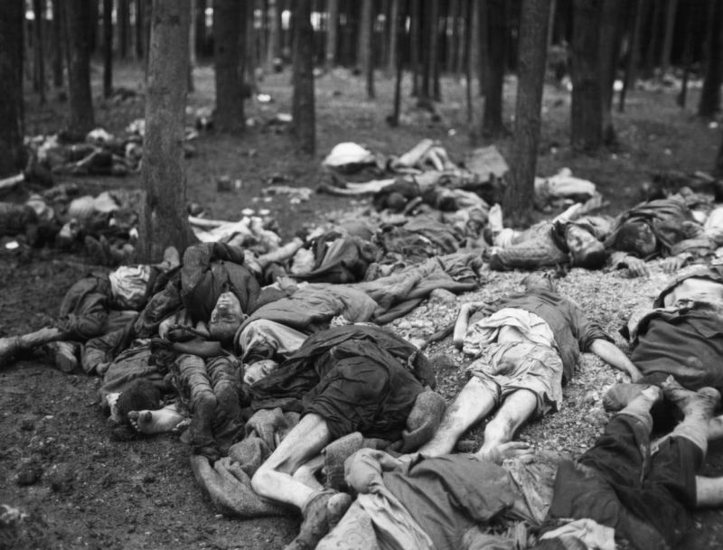 Трупы узников из концлагеря Ламбах в Австрии. Май 1945 г. 