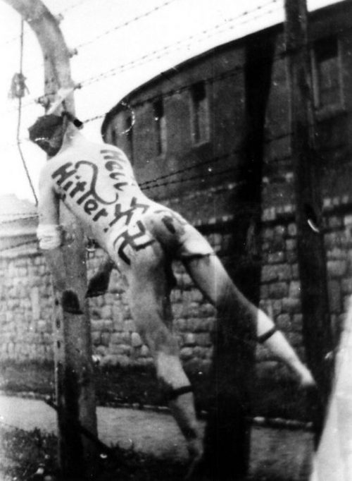 Тело коменданта концлагеря Маутхаузен, повешенное на лагерном ограждении. Май 1945 г.