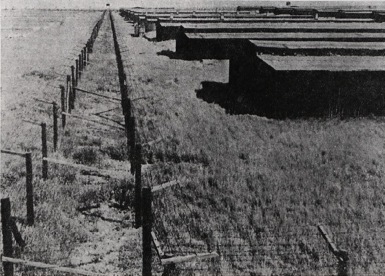 Бараки концлагеря Майданек. Июль 1944 г. 