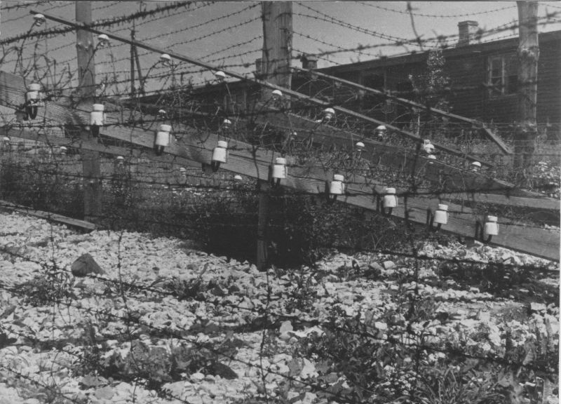 Забор из колючей проволоки, ограждающий концлагерь Освенцим.1945 г.