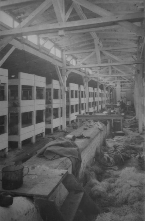 Внутренний вид барака освобожденного концлагеря Освенцим. 1945 г.