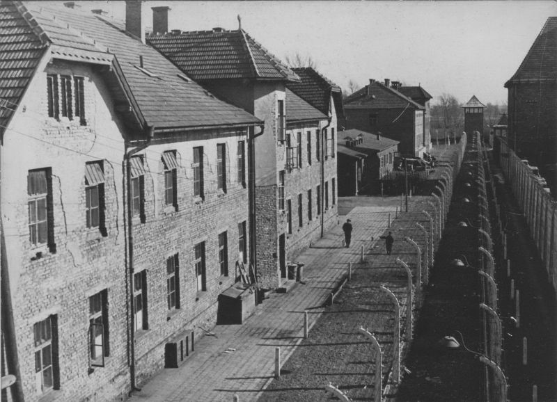 Бараки концлагеря Освенцим. 1945 г.