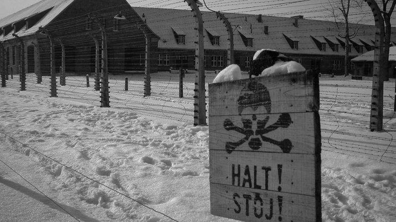 Концлагерь Освенцим. 1944 г.