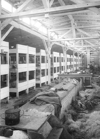 Деревянный барак Освенцим-Биркенау после освобождения. Февраль1945 г.