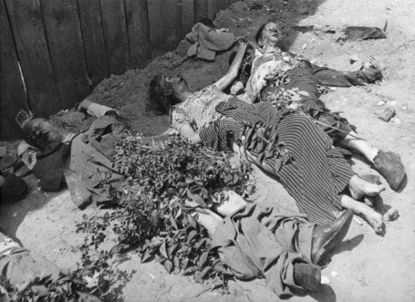 Жертвы Львовского погрома. 1-2 июля 1941 г.