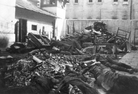 Евреи, убитые во время погрома в Тарнополе. Июль 1941 г. 