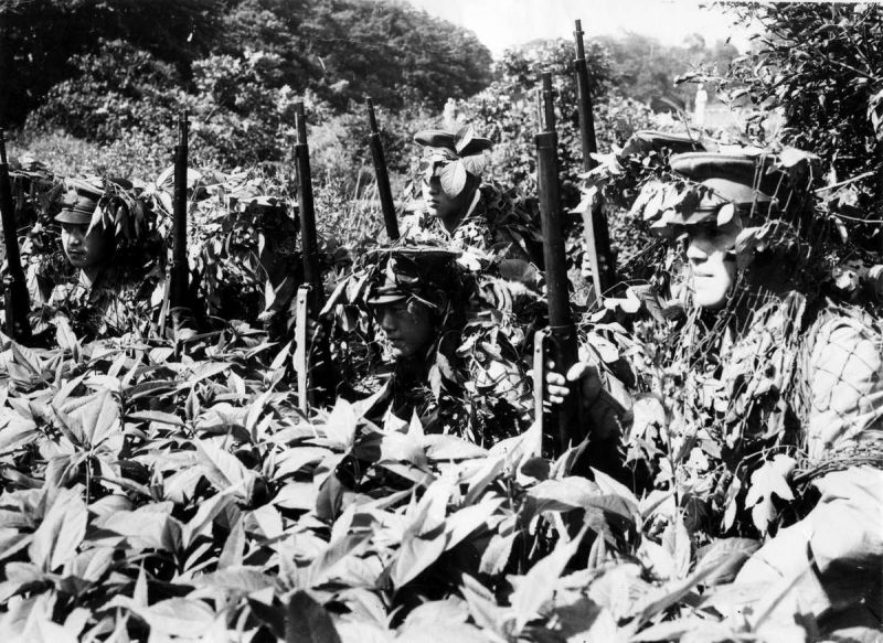 Японские солдаты в засаде в зарослях в окрестностях Шанхая. Октябрь 1937 г. 