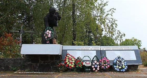 с. Иванковцы Хмельницкого р-на. Памятник, установленный на братской могиле советских воинов на кладбище.