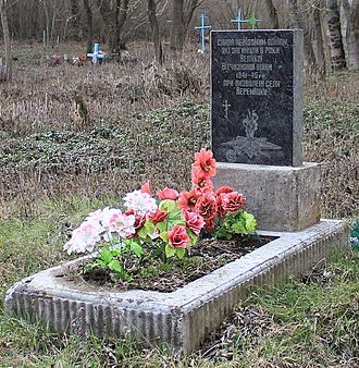 с. Веремеевка Красиловского р-на. Братские могилы советских воинов на кладбище.