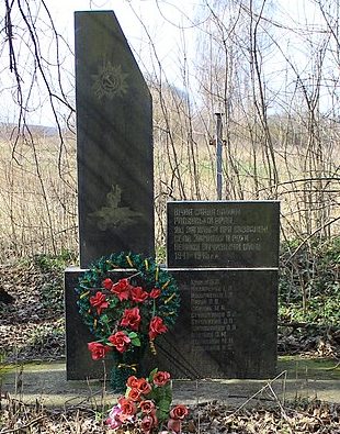 с. Зарудье Красиловского р-на. Братская могила советских воинов на кладбище.