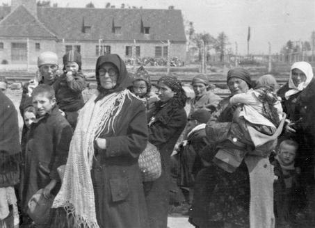 Группы евреев идут к газовым камерам и крематориям в лагере в Освенцим-Биркенау. Май 1944 г. 
