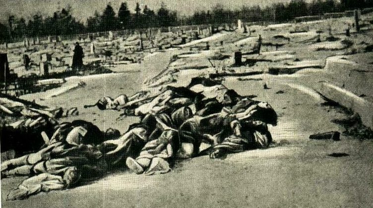 Казненные нацистами евреи во Львове. Июль 1944 г.