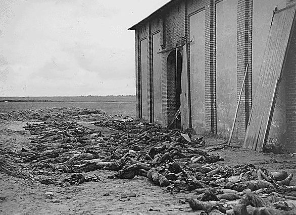 Груды трупов евреев, найденных в освобожденном концлагере Бухенвальд. Апрель 1945 г. 