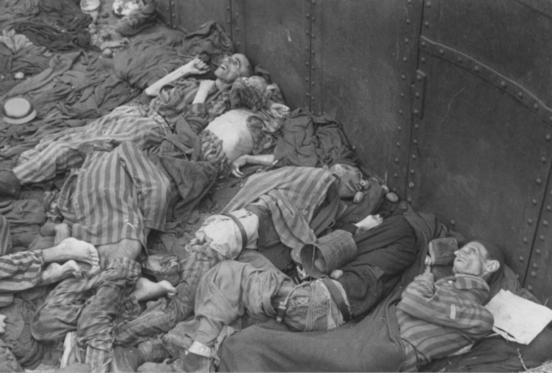 Трупы евреев в поезде смерти в Дахау. Апрель 1945 г. 