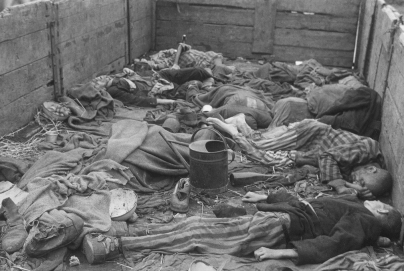 Трупы евреев в поезде смерти в Дахау. Апрель 1945 г. 