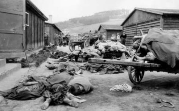 Тела умерших заключенных евреев в концентрационном лагере Маутхаузен. Май 1945 г.