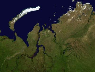 Карское море на снимке со спутника. 