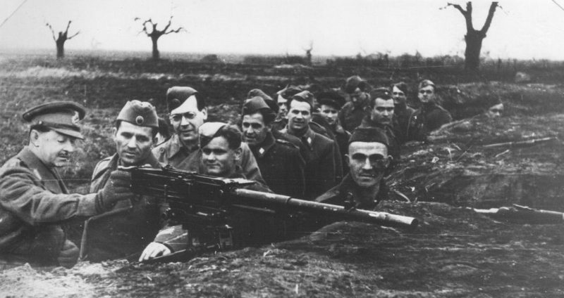 Фельдмаршал Александер на Сремском фронте. 1945 г.