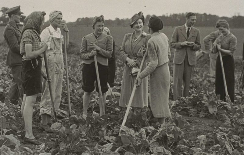 Георг VI и королева Елизавета, посещающие фермерских добровольцев в лагере Министерства сельского хозяйства. 1944 г.