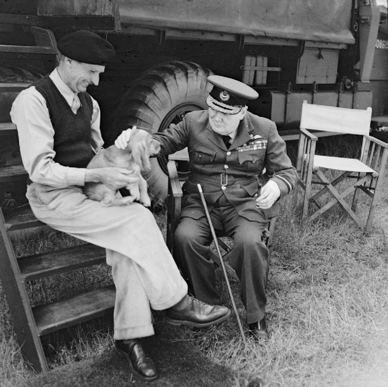 Уинстон Черчилль и генерал сэр Бернар Монтгомери и его собака (по кличке Роммель) в Нормандии в его штаб-квартире в замке Крёлли. 1944 г.