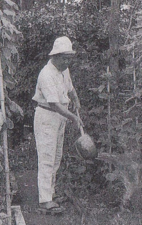 Осами Нагано в личном саду. 1943 г.
