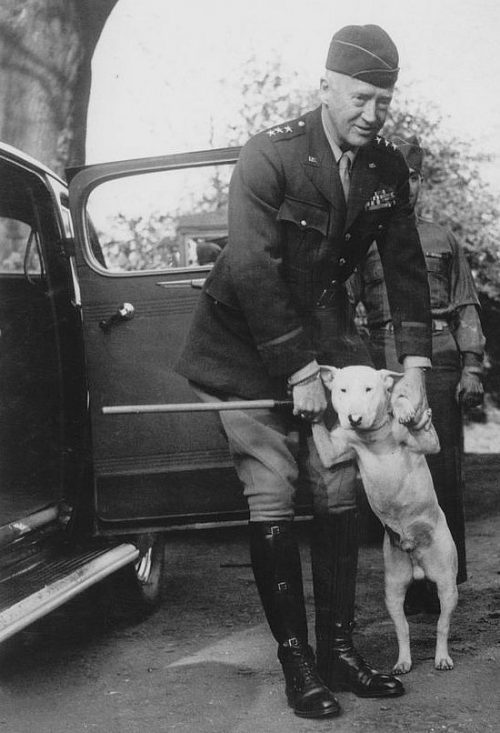 Генерал Паттон со своей любимой собакой. 1944 г.