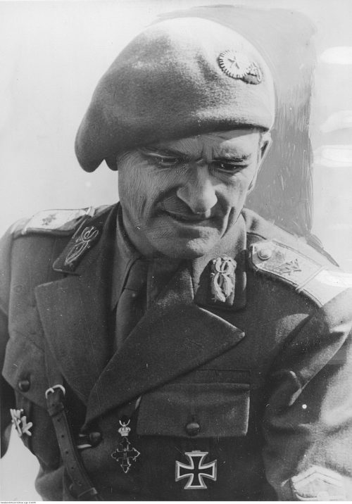 Генерал-лейтенант Ион Думитраке - командир 2-й горнострелковой дивизии.1942 г.