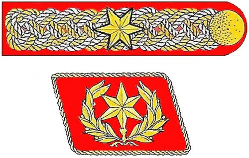 Знак особого звания Эрнста Рёма как начальника штаба СА, использовавшийся в период с 1933 по 1934 год. Он был отменен после «ночи длинных ножей».