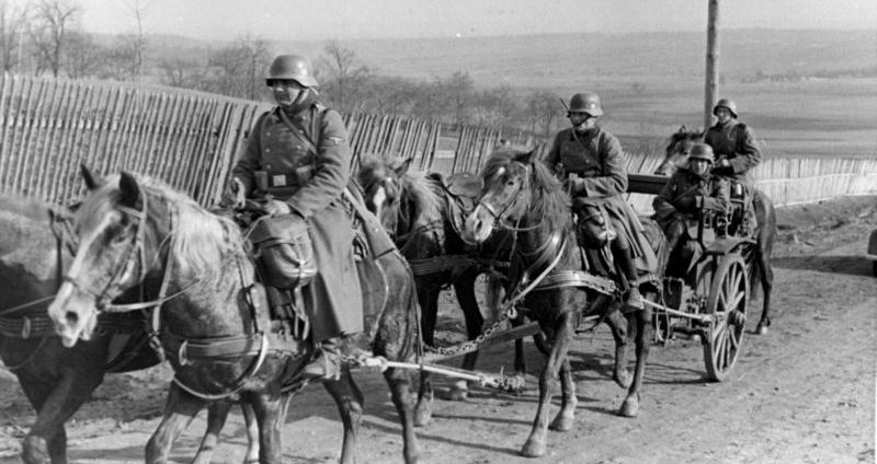 Кавалерия Ваффен-СС на Восточном фронте. 1941 г. 