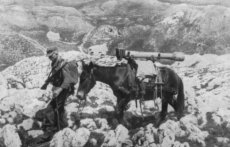 Солдаты 7-й дивизии СС «Принц Ойген» переправляется через горы полуострова Истрия. 1943 г.