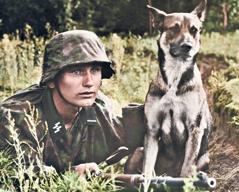Юлиус Яаскеляйнен - эстонский доброволец Ваффен-СС со своей собакой Цезарем. 1944 г.