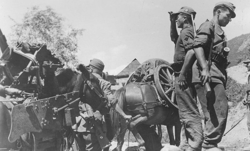 Отряд горных стрелков СС и албанских добровольцев в горах Албании. 1944 г.