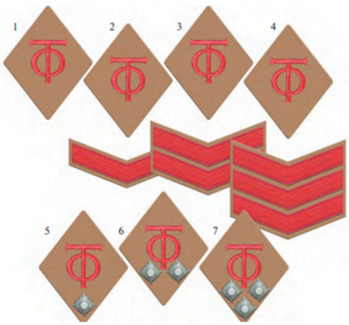 Знаки различия рабочих, медиков и чиновников ОТ для форменной одежды после 1943 года, где: 1 – арбайтер, санитар, штаммарбайтер; 2 –форарбайтер, штаммсанитар; 3 – майстер, оберсанитар; 4 – обермайстер, уптсанитар; 5 - труппфюрер, санитэтструппфюрер; 6 - обертруппфюрер, санитэтсобертруппфюрер; 7 – ОТ-гаупттруппфюрер, ОТ-санитэтсгаупттруппфюрер.